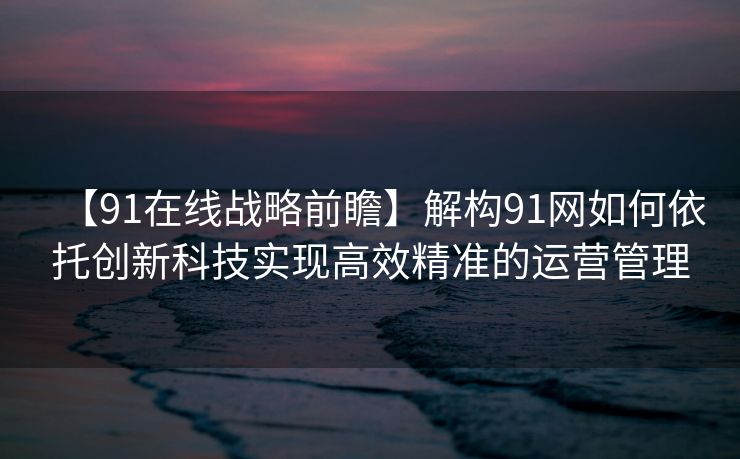 【91在线战略前瞻】解构91网如何依托创新科技实现高效精准的运营管理