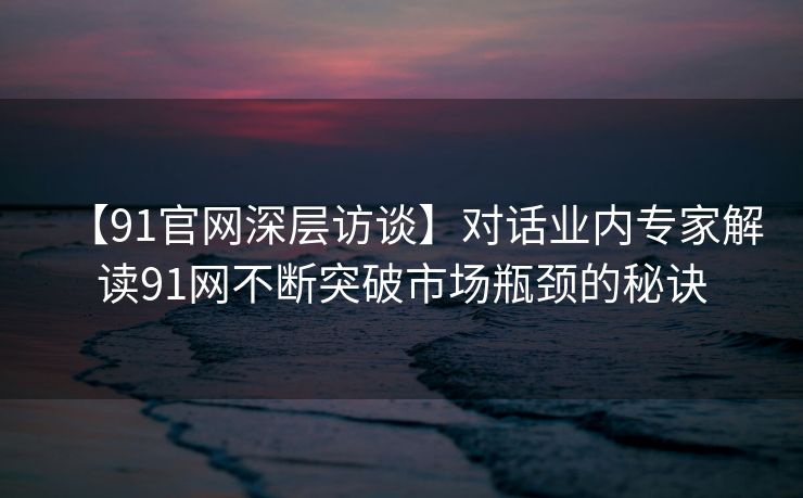 【91官网深层访谈】对话业内专家解读91网不断突破市场瓶颈的秘诀 【91官网深层访谈】对话业内专家解读91网不断突破市场瓶颈的秘诀